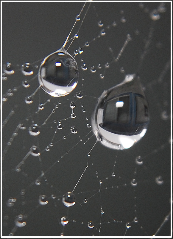 Photographie par Tonebarge pour DesignCrowd (Community Contests) | Design #8950127