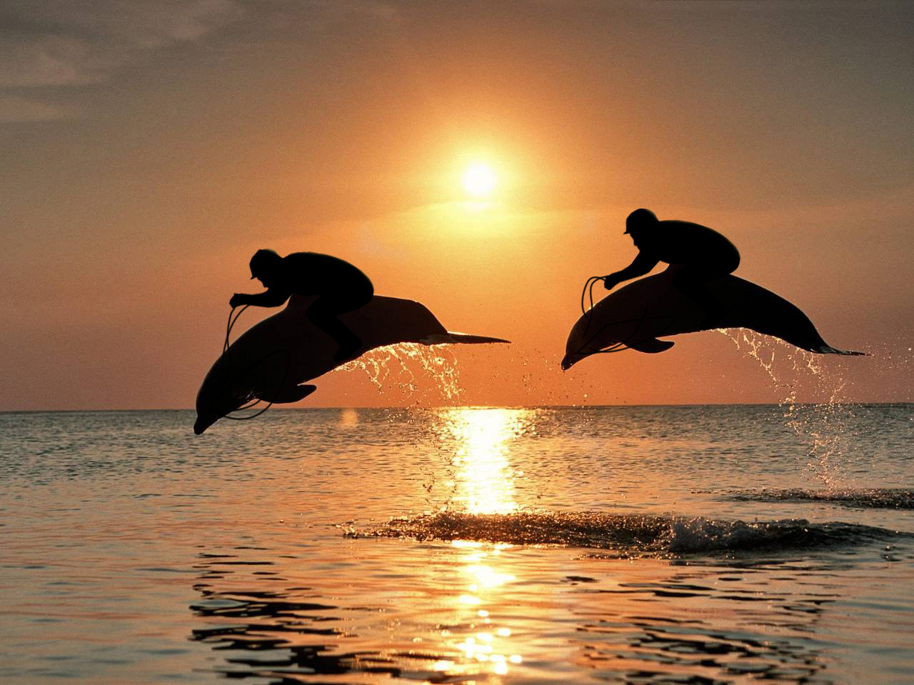 Photoshop Design by INMATErex for DesignCrowd (Community Contests) | Design #8946655