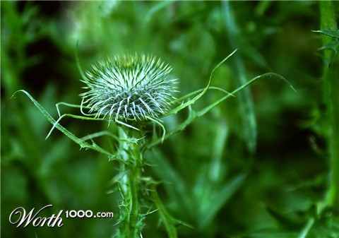 Photography by lunaryuna