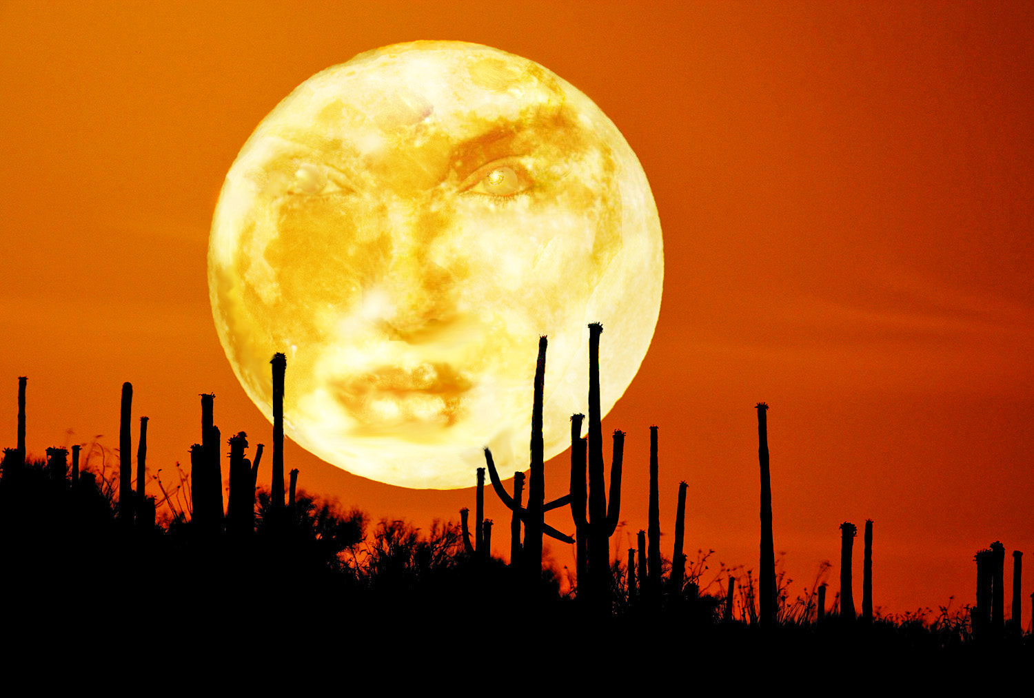 Design Photoshop par Photogerm pour DesignCrowd (Community Contests) | Design #8947365