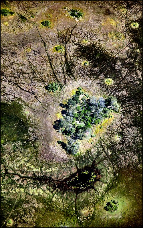 Fotografie von Juicer für DesignCrowd (Community Contests) | Design #8948493