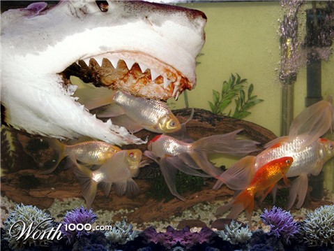 Photoshop Design by denisespaink