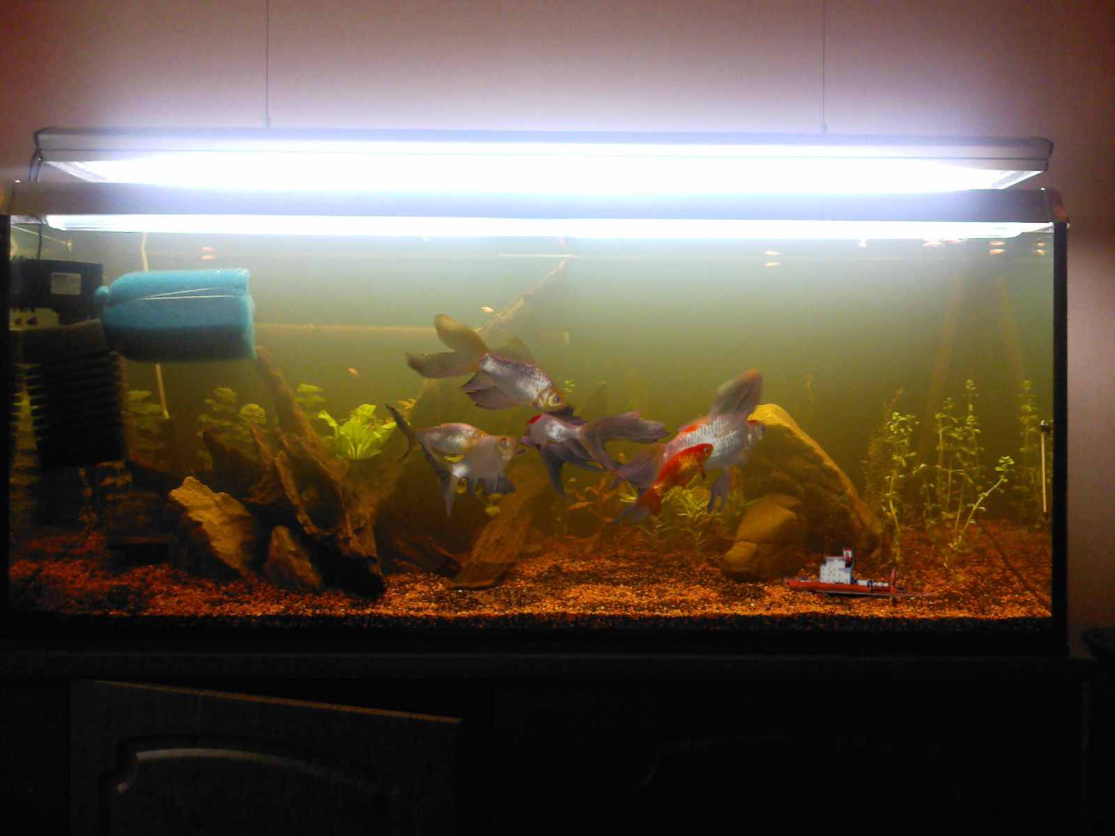 Photoshop Design by SteamPG for DesignCrowd (Community Contests) | Design #8946796