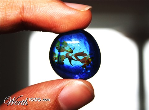 Photoshop Design by Zebulba76