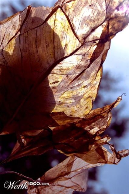 Photography by marymagdalyne