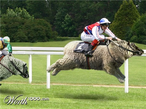 Photoshop Design by cmumiddle