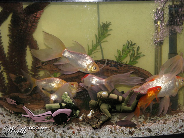 Photoshop Design by vhon16 for DesignCrowd (Community Contests) | Design #8946803