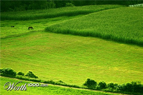 Photography by phoneymoon