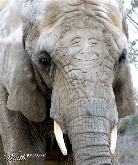 Photoshop Design by cleareyes