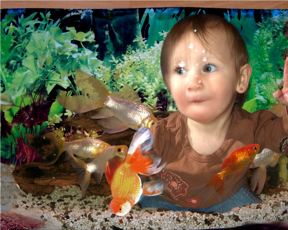 Photoshop Design by pamwatts62 for DesignCrowd (Community Contests) | Design #8946821