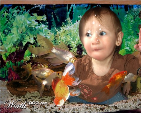 Photoshop Design by pamwatts62