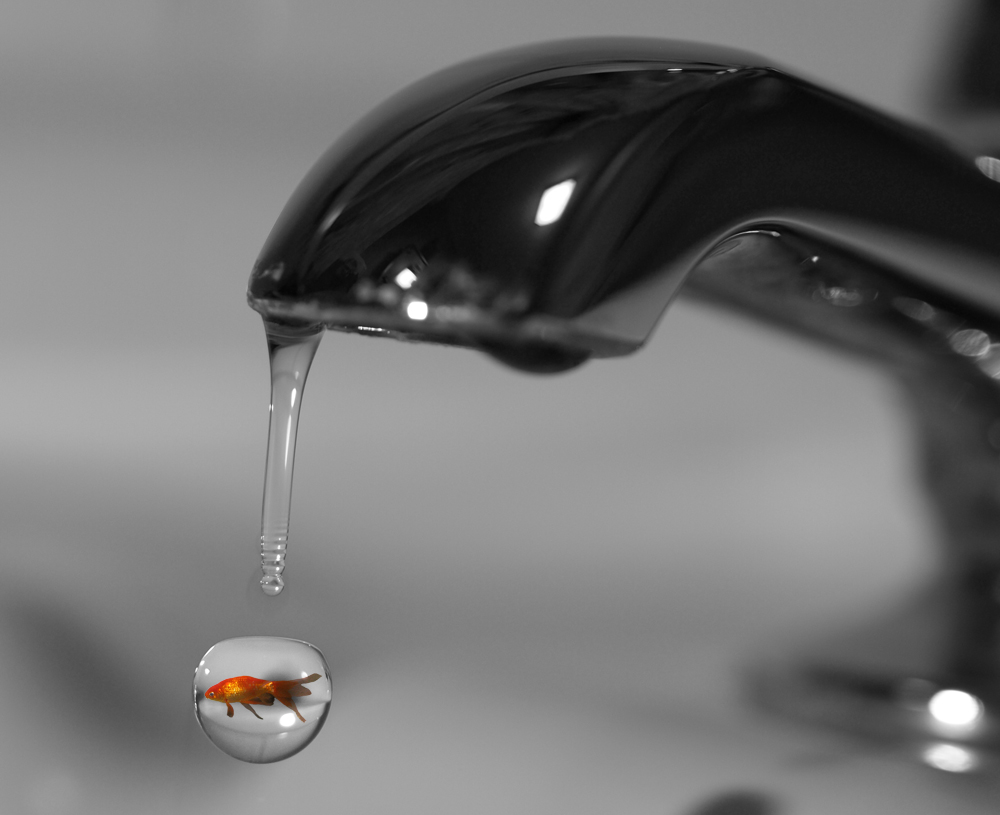 Photoshop Design by AroBeddY for DesignCrowd (Community Contests) | Design #8946809