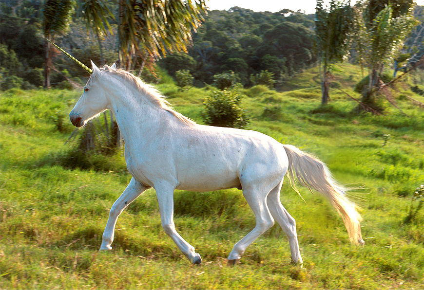 Photoshop Design by visualX for DesignCrowd (Community Contests) | Design #8949771