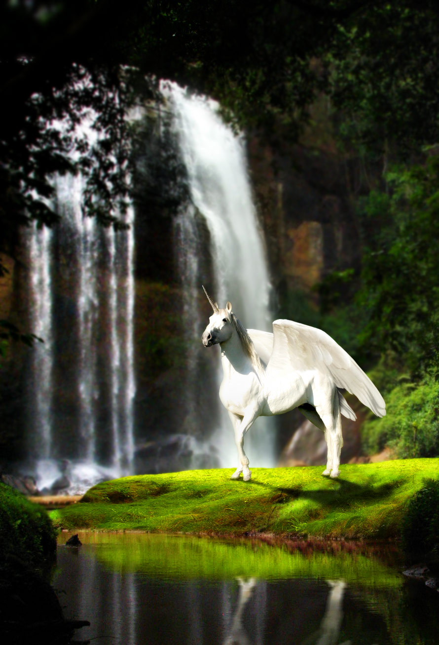 Photoshop Design by Monkeysniffer08 for DesignCrowd (Community Contests) | Design #8949756