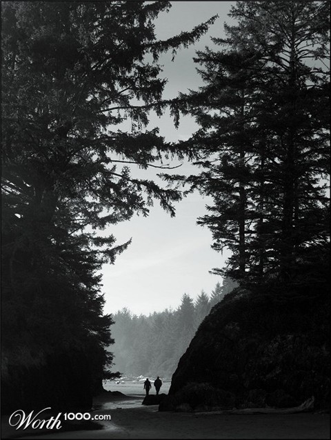 Photography by urbancalligraphy