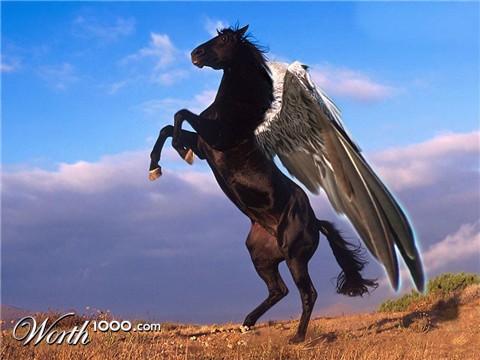 Photoshop Design by Zebulba76