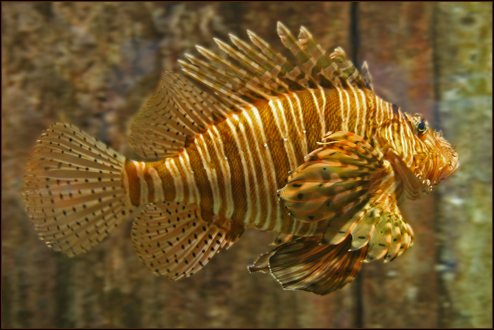 Fotografía por CraigMc para DesignCrowd (Community Contests) | Diseño #8947335