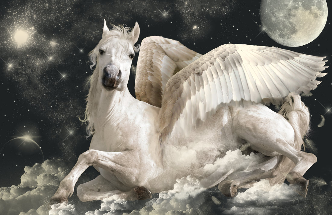 Photoshop Design by Stella63 for DesignCrowd (Community Contests) | Design #8949885