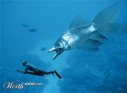 Photoshop Design by killergonzo