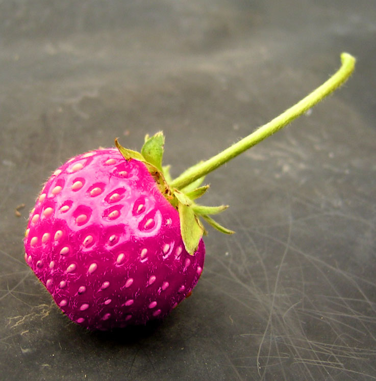 Design Photoshop par AliiXX pour DesignCrowd (Community Contests) | Design #8949754