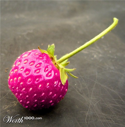 Photoshop Design by AliiXX