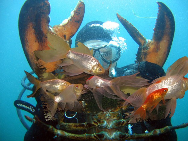 Photoshop Design by acidrain0117 for DesignCrowd (Community Contests) | Design #8946848