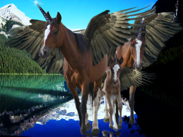 Photoshop Design by Hawny101 for DesignCrowd (Community Contests) | Design #8949879