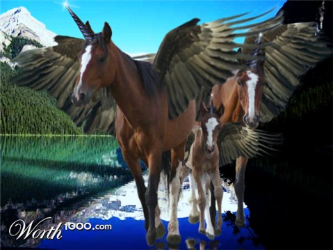 Photoshop Design by Hawny101