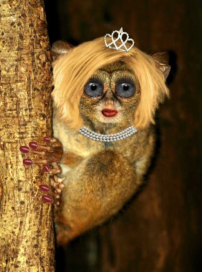 Photoshop Design by gumbee for DesignCrowd (Community Contests) | Design #8951372