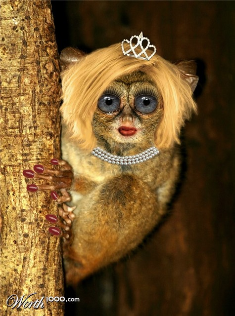 Photoshop Design by gumbee