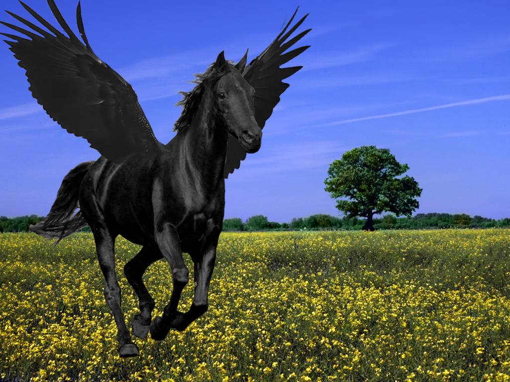 Photoshop Design by Menmar for DesignCrowd (Community Contests) | Design #8949910