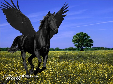 Photoshop Design by Menmar