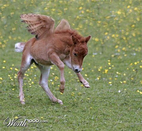 Photoshop Design by Asrayia