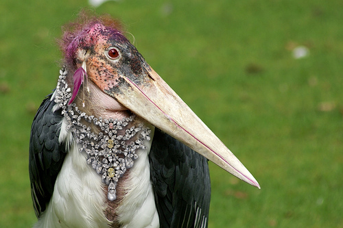 Photoshop Design by vhon16 for DesignCrowd (Community Contests) | Design #8951366