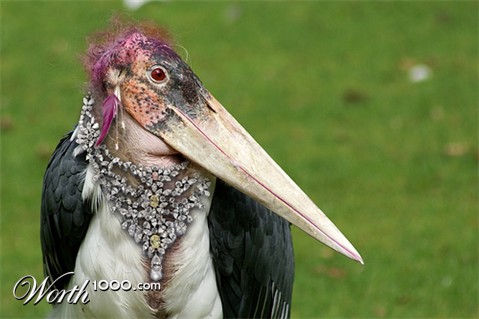 Photoshop Design by vhon16