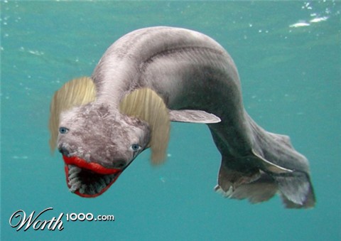Photoshop Design by mibj2000