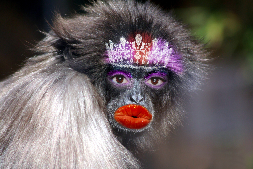 Photoshop Design by Zebulba76 for DesignCrowd (Community Contests) | Design #8951420