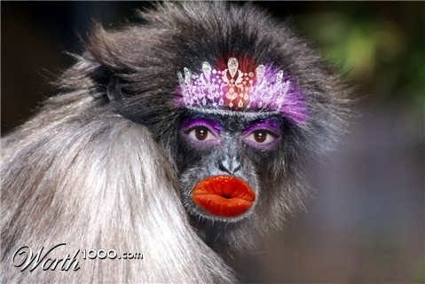 Photoshop Design by Zebulba76