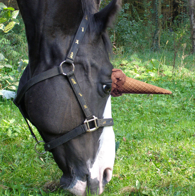 Design Photoshop par abrak1 pour DesignCrowd (Community Contests) | Design #8949828