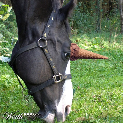 Photoshop Design by abrak1