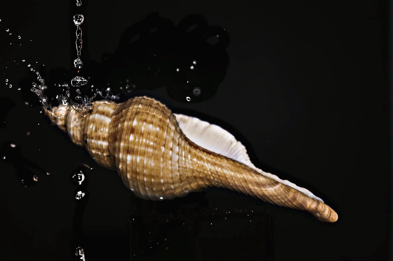 Fotografía por danielkr para DesignCrowd (Community Contests) | Diseño #8947413