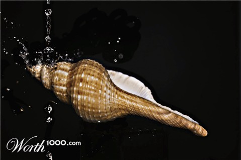 Photography by danielkr