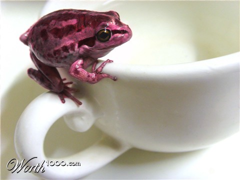 Photoshop Design by RavenNight