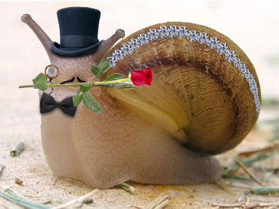 Design Photoshop par kate7819 pour DesignCrowd (Community Contests) | Design #8951385