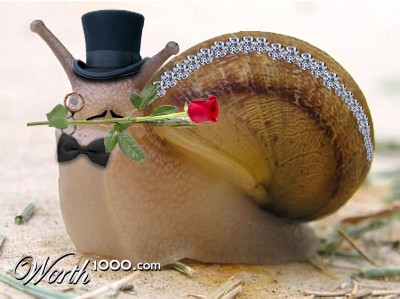 Photoshop Design by kate7819