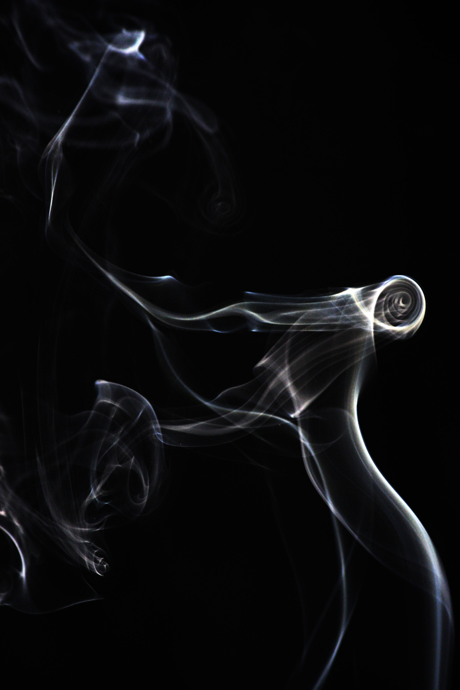 Fotografía por Vodoc1005 para DesignCrowd (Community Contests) | Diseño #8947161