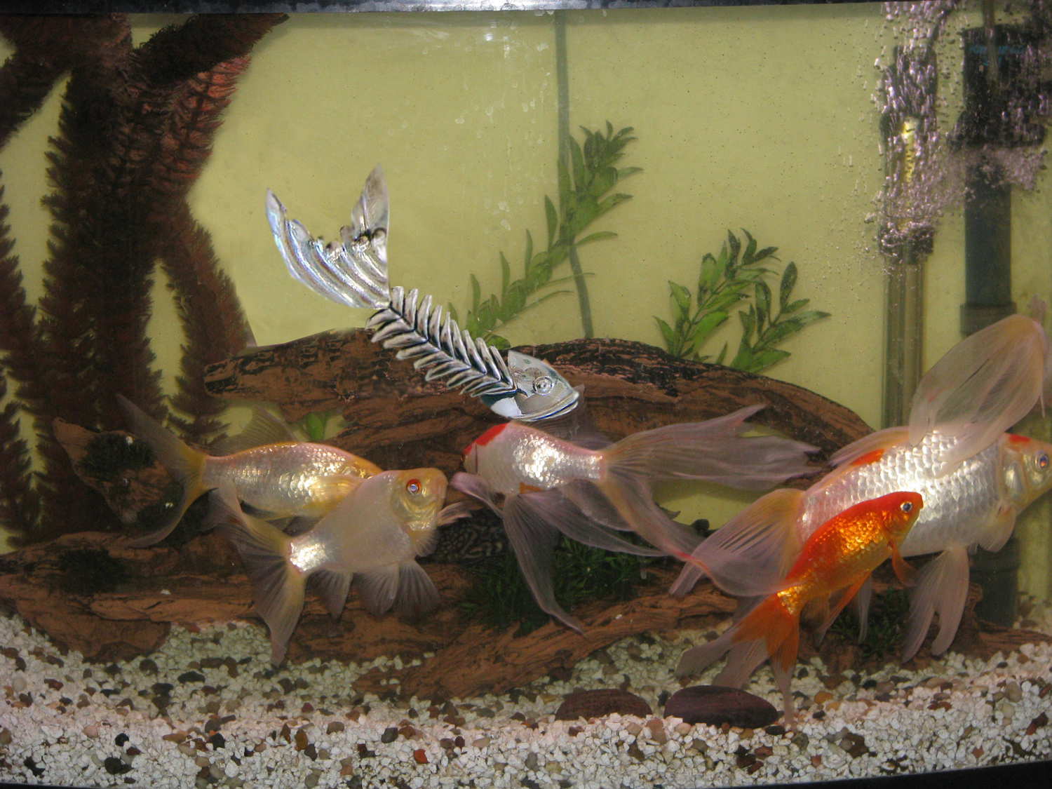 Design Photoshop par binarycriminal pour DesignCrowd (Community Contests) | Design #8946888