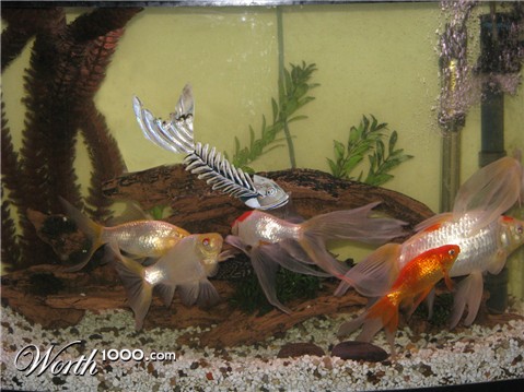 Photoshop Design by binarycriminal