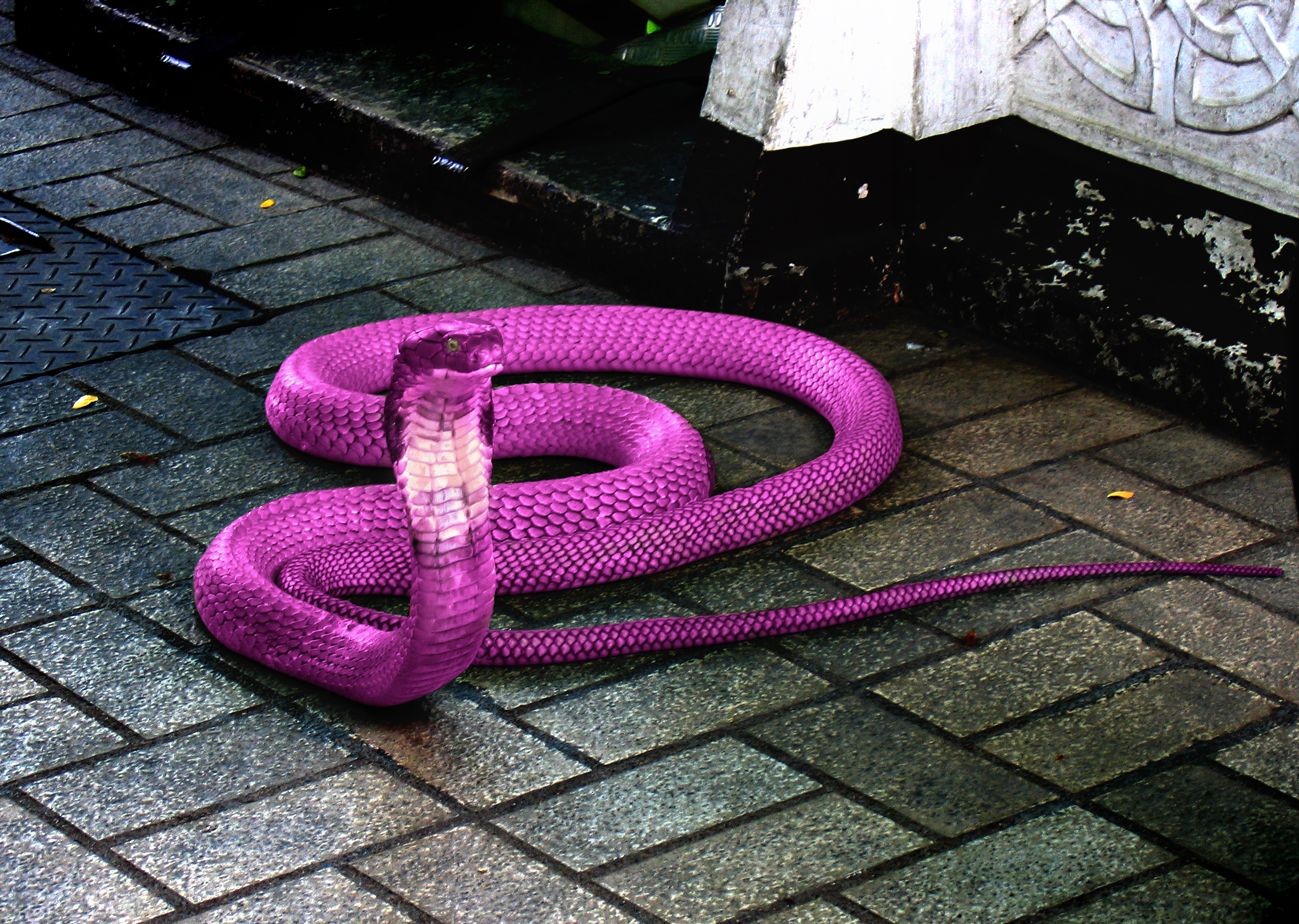 Photoshop Design by brdispatch05 for DesignCrowd (Community Contests) | Design #8949834