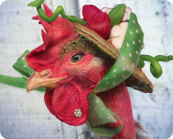 Diseño de Photoshop por NuckleBerry6 para DesignCrowd (Community Contests) | Diseño #8951412